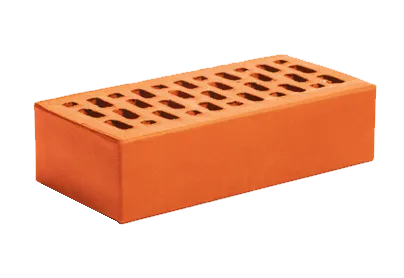 пустотел красный