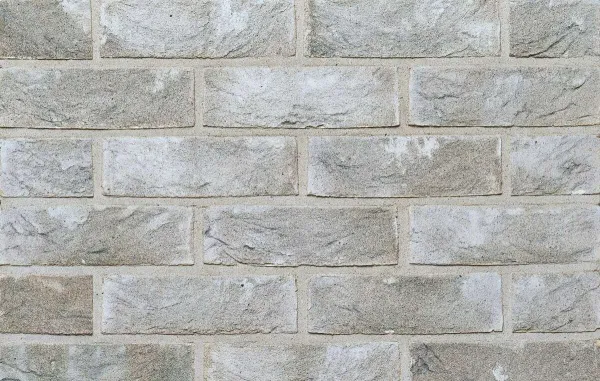 Лозьер_С_WDF---