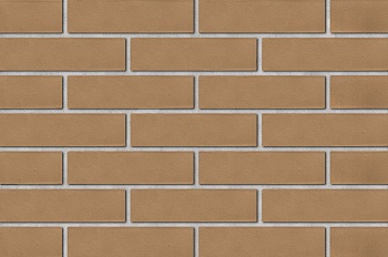 Кирпич КР-л-пу Мокко 1НФ/250*120*65/200/1.4/200 (480шт)