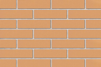 Кирпич КР-л-пу Бронза 1НФ/250*120*65/200/1.4/100 (480шт)