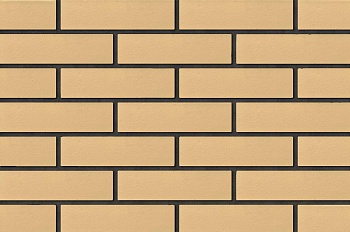 Кирпич КР-л-пу Ваниль гладкий 1НФ/250*120*65/F100/М200-250 (неотобранный) 